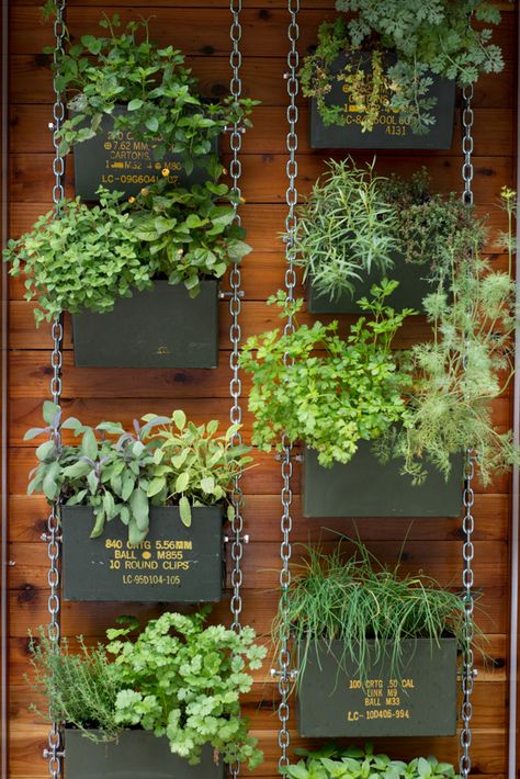 Hanging Balcony, Kebun Herbal, Vertical Herb Gardens, Taman Diy, Vertical Vegetable Garden, Vertical Herb Garden, Vertical Garden Diy, Rustic Aesthetic, Vertical Gardens