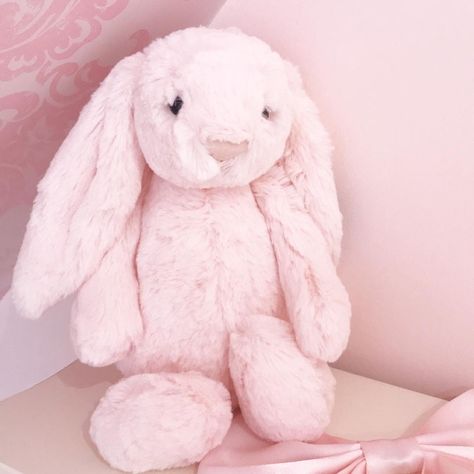 The sweetest little jellycat bunny 🐰 Jellycat Bunny, Pink Teddy Bear, Baby Pink Aesthetic, Cute Stuffed Animals, Pull Toy, Pink Aesthetic, Cute Pink, Soft Toy, Baby Pink
