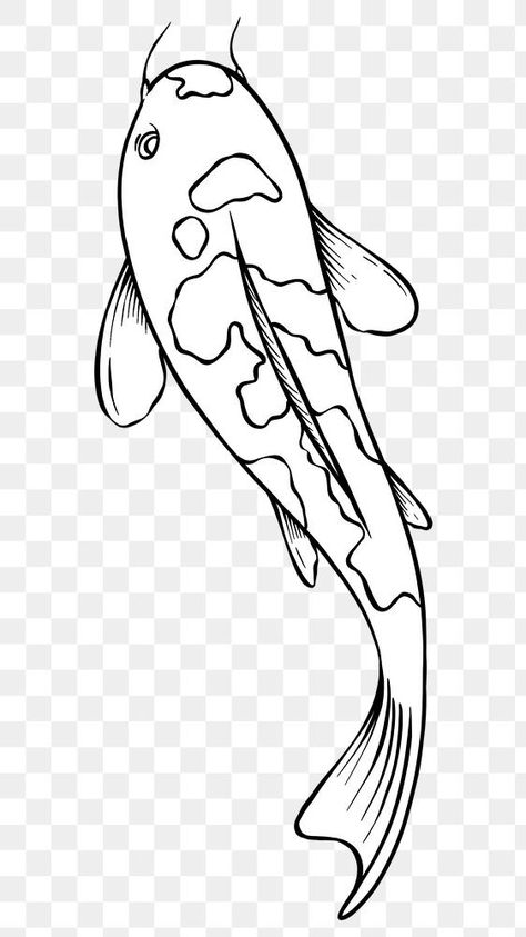 Hand drawn koi fish design element | free image by rawpixel.com / Noon Koi Line Art, Koy Fish Drawing, Koi Fish Illustration, Koy Fish, Draw Fish, Japanese Dragon Drawing, Fish Outline, Fish Sketch, Coy Fish