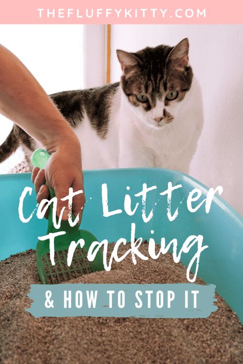 How to Stop My Cat from Tracking Litter Everywhere - Fluffy Kitty Nature, Stop Kitty Litter Tracking, Cat Litter Mat Diy, Kitty Litter Hacks, Diy Cat Litter Mat, How To Keep Cat Litter Off The Floor, Diy Kitty Litter Box Ideas, Cat Litter Hacks, Pine Cat Litter