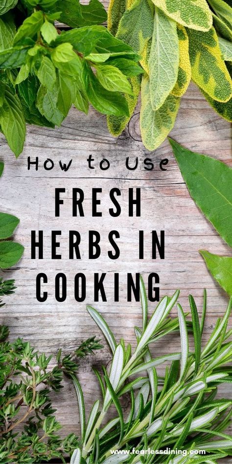 How to use fresh herbs in all of your cooking and baking. How to use popular fresh herbs with chicken, poultry, meat, beef, pork, eggs, and even in baking recipes. fearlessdining Cooking With Herbs, Freezing Fresh Herbs, Herbs For Chickens, Fresh Vegetable Recipes, Fresh Herb Recipes, Cooking With Fresh Herbs, Sage Herb, Tips For Cooking, Cooking Herbs