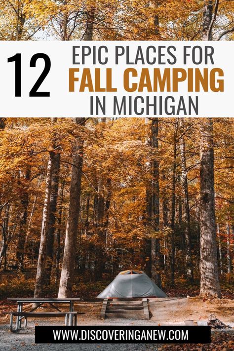 Embrace the beauty in Michigan in the fall with these locations. We've rounded up the best places to camp to enjoy fall leaf color and fall family friendly activities. Midwest Camping Destinations, White Fish Point Michigan, Indiana Camping, Hiking Michigan, Midwest Camping, Camping Michigan, Lexington Michigan, Camping In Michigan, Michigan Campgrounds