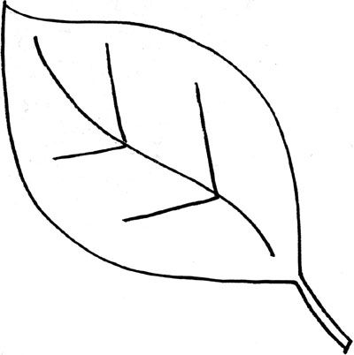 Makers and Shakers: HOW TO - Draw Doodle Leaves! - ClipArt Best - ClipArt Best Leaf Template Printable, Fall Leaf Template, Doodle Leaves, Hawaiian Leaf, Leaf Outline, Black And White Leaves, Kraf Diy, Butterfly Template, Simple Leaf