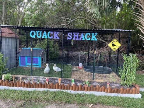 Duck Coop And Run Ideas, Duck Signs For Coop, Duck Playground, Duck Ponds Backyard Diy, Duck Pool Ideas, Diy Duck Enclosure Ideas, Duck Run Ideas, Duck Pen Ideas, Diy Duck Enclosure