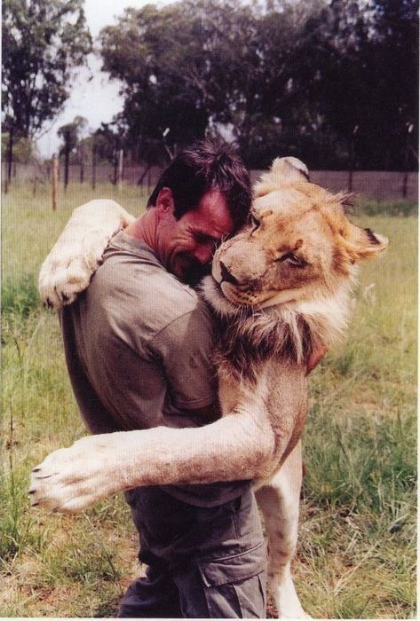 Lion recognizes owner!! Owner raised baby lion since birth... Once fully grown, owner sent his lion to the wild... And returned a year later... He approached the lion.. The lion ran towards him and gave him a big hug!! ❤️ Supraviețuire Camping, Gato Grande, Kevin Richardson, 영감을 주는 캐릭터, 인물 사진, Nature Reserve, Weird Facts, 귀여운 동물, Animals Friends