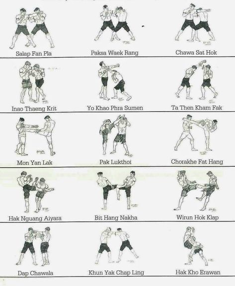 Muay Thai Exercises, Thai Workout, Boxing Moves, Kickboxing Moves, Muay Thai Techniques, Martial Arts Training Workouts, Thai Box, Fighter Workout, Boxing Training Workout