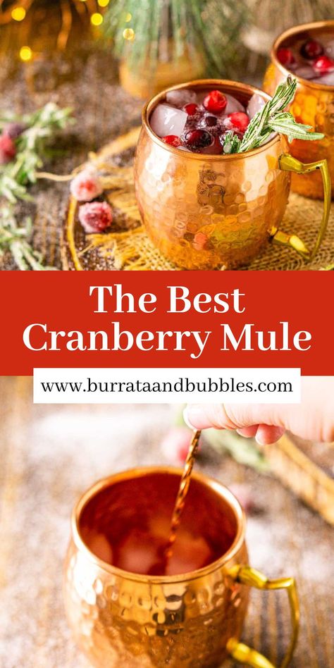 Moscow Mule Christmas, Cranberry Moscow Mule Recipe Pitcher, Cranberry Mule Recipe, Cranberry Mule Pitcher, Christmas Mule Cocktail Pitcher, Holiday Moscow Mule Pitcher, Holiday Moscow Mule Recipe, Cranberry Mules Cocktail Recipes, Holiday Cocktails Christmas Pitcher