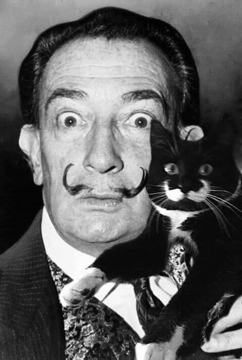 Celebrities With Cats, Men With Cats, Salvador Dali Art, Dali Paintings, Dali Art, National Cat Day, Edward Gorey, Spanish Artists, Foto Art