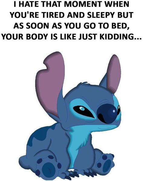 Minions, Lilo And Stitch Memes, Stich Quotes, Funny Stitch, Funny Quotes Wallpaper, Stitch Quotes, Stitch Funny, Funny Airport Signs, Funny Day Quotes