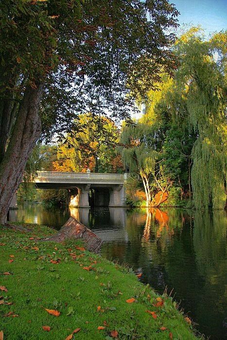 Weeping Willow Bridge, Odense River, Denmark Lofoten, Odense, Danish Heart, Odense Denmark, Kingdom Of Denmark, Willow Trees, Scandinavian Countries, Weeping Willow, Netherlands Travel