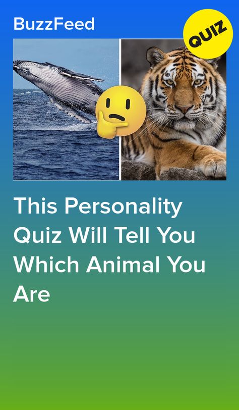 Powerline Drawing, Spirit Animal Test, What's My Spirit Animal, Buzzfeed Personality Quiz, Spirit Animal Quiz, Whats Your Spirit Animal, Find Your Spirit Animal, Quizzes For Kids, What Animal Are You