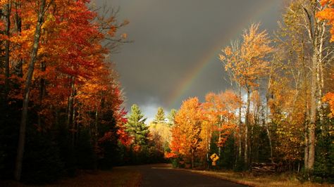 Autumn Rainbow Nature, Fall Cover Photos, Fall Facebook Cover Photos, Background Facebook Cover, Fall Facebook Cover, Facebook Cover Photos Quotes, Facebook Cover Images, Fb Cover Photos, Facebook Timeline Covers