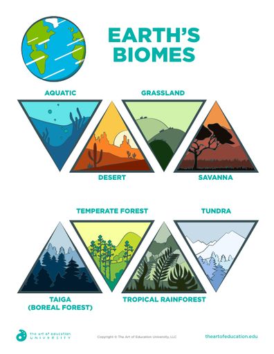 CLOSE Montessori, Teaching Biomes, Rich Library, Biomes Project, Ecosystems Projects, Oil Pastel Techniques, Libros Pop-up, 8th Grade Art, Art Lessons Middle School