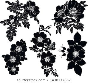 Floral Design Black And White, Solid Black Flower Tattoo, Black Out Shoulder Tattoo, Blackout Flower Tattoo, Black Flowers Drawing, Black Out Flower Tattoo, Cover Up Flower Tattoo, Black Flower Drawing, Coverup Tattoo Designs