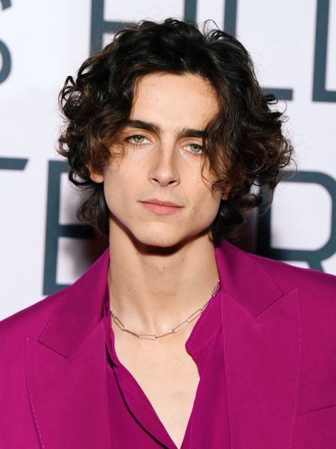 Timothee Chalamet Hairstyle, Timothee Chalamet Pink, Timothee Chalamet Hair, Chalamet Timothee, Timmy T, Photographie Inspo, Corte De Cabelo Masculino, Timothée Chalamet, 짧은 머리