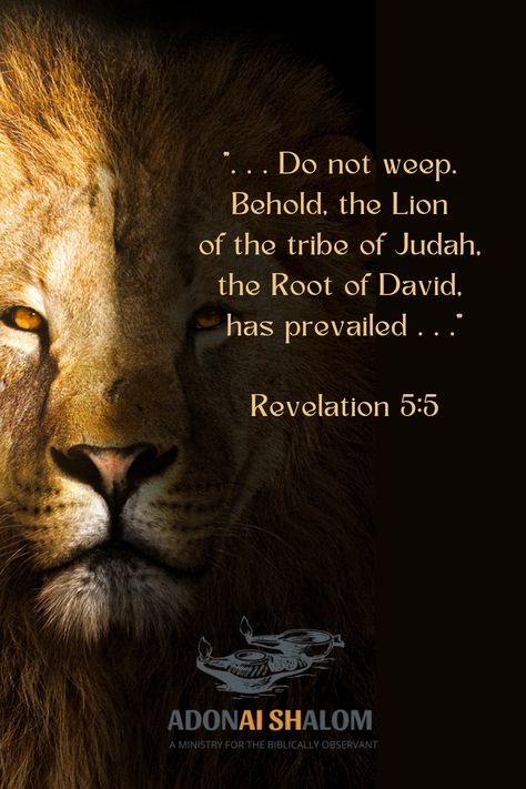 Lion Of Tribe Of Judah, Revelation 5:5 Lion Of Judah, Yeshua Lion Of Judah, Lion Of The Tribe Of Judah, King David Bible, Yeshua Wallpaper, He Saved Me, Uplifting Christian Quotes, David Bible