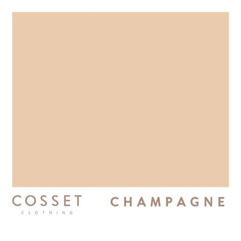 Champagne Clothes, Quinceanera Pink, Champagne Colour, Colour Wheel, Business Packaging, Champagne Color, Happy Memories, White And Pink, Light Orange