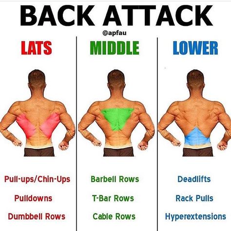 BACK ATTACK By @apfau - TAG A FRIEND THAT NEEDS TO START WORKING THEIR BACK - #fitness #alphalete #fitnesslifestyle #bulking… Back Exercises, Gym Tips, 남자 몸, Weight Training Workouts, Body Fitness, Gym Workout Tips, Back Muscles, Back Workout, Fitness Transformation