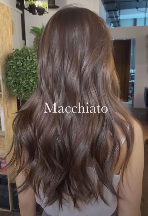 Brown Hair Colors Tan Skin, Asian Hair Color No Bleach, Asian Light Brown Balayage, Mahogany Brown Hair, Rambut Brunette, Brown Hair Extensions, Brown Hair Looks, Brown Hair Inspo, Ash Hair Color