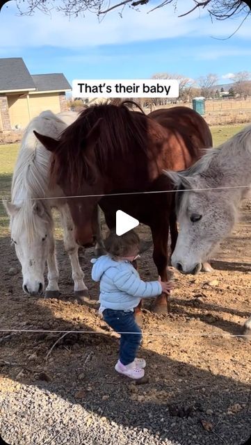 Horsen ®| Equestrian Community on Instagram: "The sweetest thing you will ever see 🐴♥️👶🏼 What do you think? 🥰 • // sunny.hetrick | tt" Nature, Horses And Cats, Good Morning Horses, Baby Animals Adorable, Equestrian Funny, Funny Animals Videos, Animals Doing Funny Things, Dog Crying, Funny Horse Videos