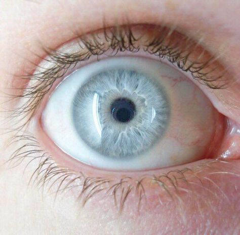 Light and blue eyes People With Blue Eyes, Mata Biru, Iris Eye, Eye Parts, Light Blue Eyes, Writing Characters, Eye Photography, Human Eye, Blue Eye