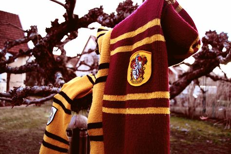 Gryffindor and Hufflepuff scarves Gryffindor And Hufflepuff, Gryffindor Pride, Teddy Lupin, Slytherin And Hufflepuff, Hufflepuff Aesthetic, Gryffindor Aesthetic, Yer A Wizard Harry, Harry Potter Houses, Hogwarts Aesthetic