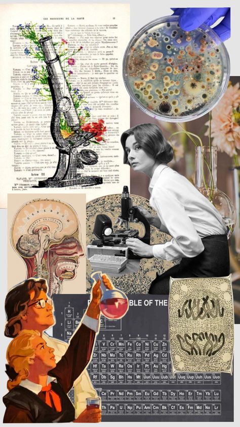 Created by ivy10earl on Shuffles Collage, Dream Houses, Science, Energy, Photographer