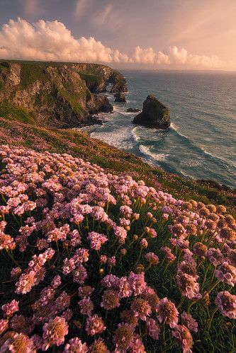 Spring is in the air | golden hour at Bedruthan Steps. Cornw… | Milos Lach | Flickr Nature, Wallpaper Edgy, Frühling Wallpaper, Wallpaper Homescreen, Wallpaper Spring, T Wallpaper, Background Retro, Illustration Wallpaper, Wallpaper Retro
