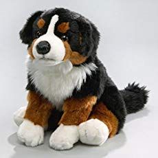 All About The Bernedoodle: The Intriguing New Hybrid Bernese Mountain Dog Stuffed Animal, Bernese Mountain Dog Puppy, Custom Stuffed Animal, Teddy Bear Dog, Bernedoodle Puppy, Dog Stuffed Animal, Teddy Bear Stuffed Animal, Silly Dogs, Mountain Dog