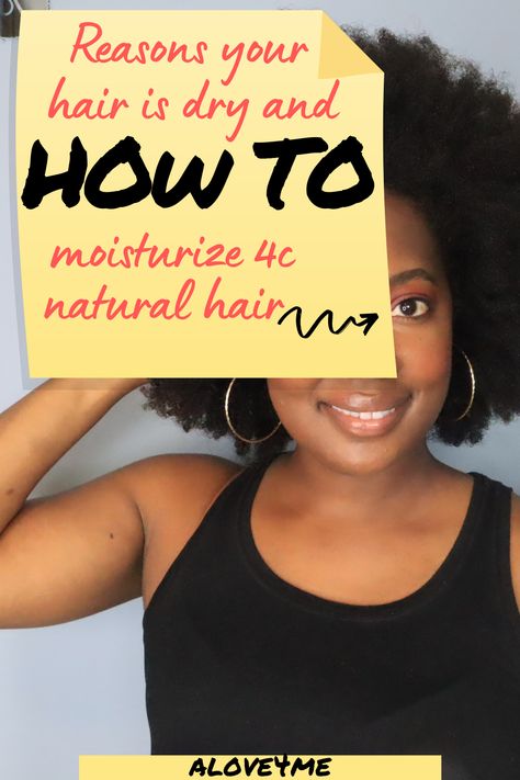 How To Treat Dry Ends Of Hair, How To Treat Natural Black Hair, Extremely Dry Hair Remedies, Dry Scalp Black Women, How To Get Moisture Back In Hair, Dry Hair Remedies For Black Women, Add Moisture To Dry Hair, How To Hydrate 4c Hair, Dry 4c Hair Remedies