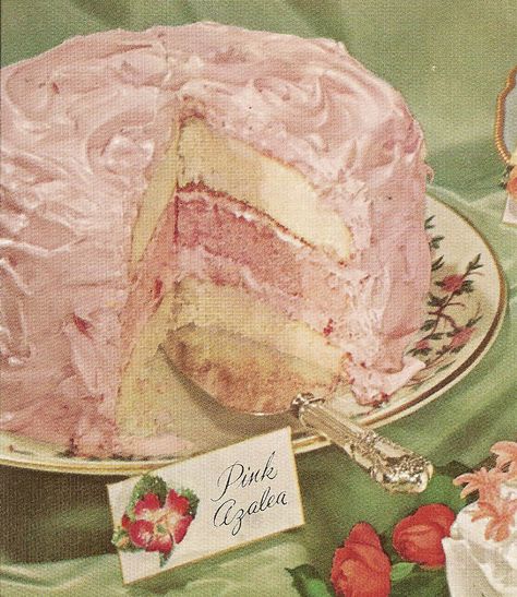 Betty Crocker Pink Azalea Cake Seni Pastel, 귀여운 음식 그림, Seni Vintage, Charmmy Kitty, Pink Azaleas, صفحات التلوين, Pink Frosting, Piece Of Cake, Pink Cake