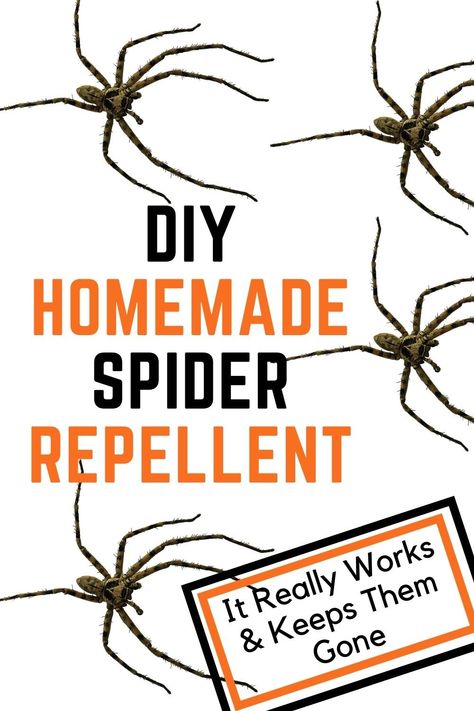 Spiders Repellent Diy, Peppermint Oil For Spiders, Spider Prevention, Outdoor Bug Repellent, Keep Spiders Away, Natural Spider Repellant, Homemade Bug Repellent, Spider Spray, Spider Killer