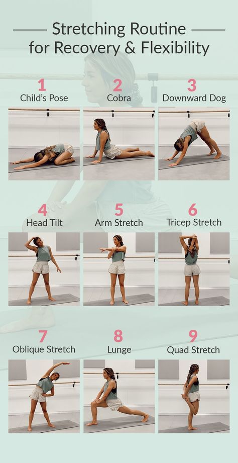 After Workout Stretches, Body Stretches Flexibility, Stretches Before Workout, Post Workout Stretches, Stretching Routine, Stretch Routine, Quick Workout Routine, Daily Yoga Workout, Yoga Online