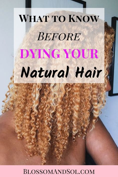 Dye Curly Hair, Natural Hair Bleaching, Feminine Hairstyle, Timeless Hairstyles, Natural Hair Highlights, Underneath Hair Color, Intricate Braids, Blonde Natural Hair, Feminine Hairstyles