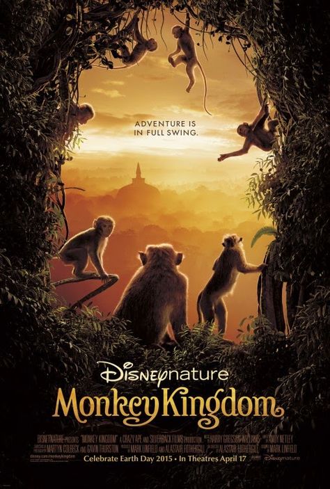 Monkey Kingdom (2015) Tina Fey, Kingdom Movie, 2015 Movies, Movie Lines, Movie Tickets, Film Review, Movie Releases, Doctor Strange, Hd Movies