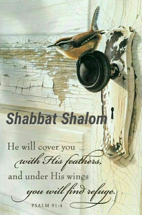 Torah Quotes, 4th Commandment, Jewish Shabbat, Happy Sabbath Quotes, Sabbath Quotes, Shavua Tov, Shabbat Shalom Images, Sabbath Rest, Messianic Jewish