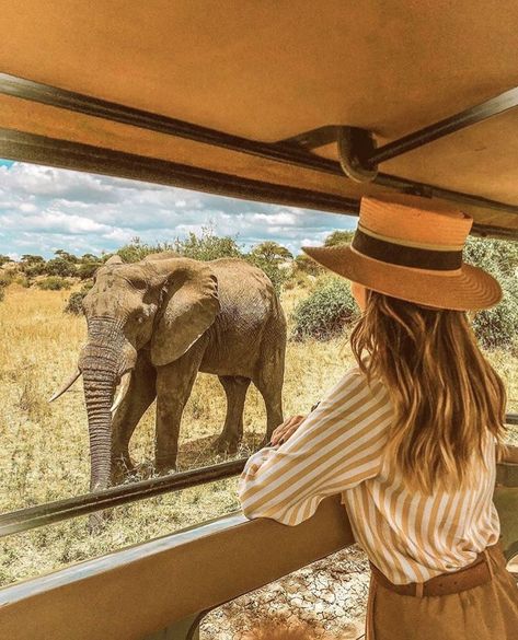 Safari Outfit Women, Africa Safari Clothes, Alex Pereira, Safari Outfit, Photo Voyage, Safari Outfits, Alexandra Pereira, Kenya Travel, Safari Chic