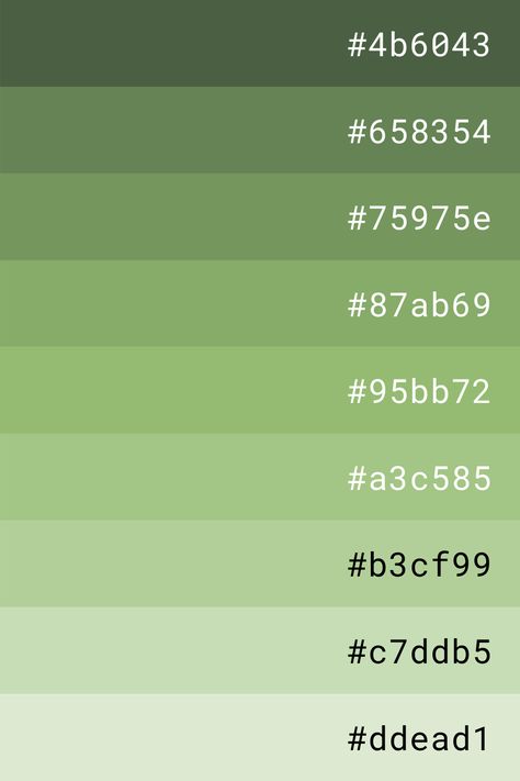 Hex Color Palette Green, Green Hex Code, Pantone Verde, Color Palette Green, Green Pallete, Palette Green, Green Color Palette, Hex Color, Desain Buklet