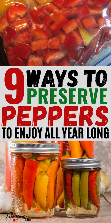 Preserving Hot Peppers In Oil, Essen, Preserve Peppers In Oil, Preserve Peppers In Vinegar, How To Preserve Fresh Hot Peppers, How To Pickle Hot Peppers, Preserving Red Peppers, How To Can Habanero Peppers, How To Preserve Hot Peppers