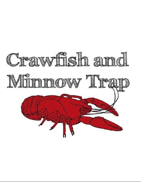 Ohio, Michigan, Crawfish Traps, Minnow Trap, Craw Fish, Bait Shop, Fish Dinner, My Cousin, Bass