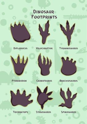 Dinosaur Feet Template, Paw Print Drawing, Dino Tracks, Dinosaur Template, Dino Footprint, Puzzle Ideas, Dinosaur Activities Preschool, Footprint Craft, Dinosaur Tracks