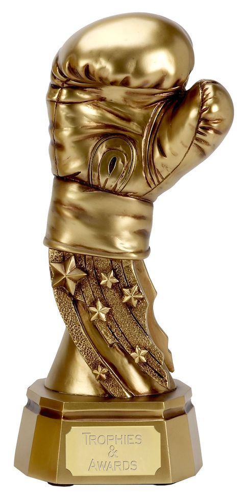 boxing trophy Boxing Trophy, Trophy Ideas, Sports Trophy, Golf Trophies, Sports Trophies, Football Trophies, محمد علي, Trophy Cup, Boxing History