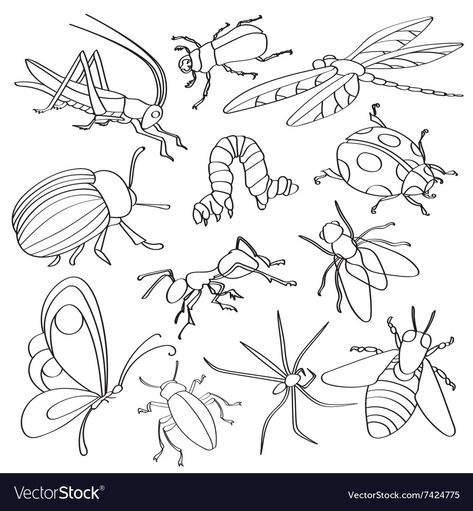Insect Doodles, How To Draw Insects, Easy Tattoos To Draw, Bugs Drawing, Doodle Wall, Insect Wall, Name Paintings, Snail Art, Bee Drawing
