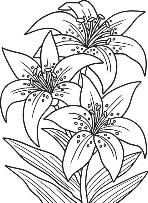 Lilies Flower Coloring Page for Adults Things To Trace, Lilies Drawing, Printable Flower Coloring Pages, Easy Flower Drawings, Flower Pattern Drawing, Adult Colouring Printables, Flower Coloring, Painting Templates, Free Adult Coloring Pages
