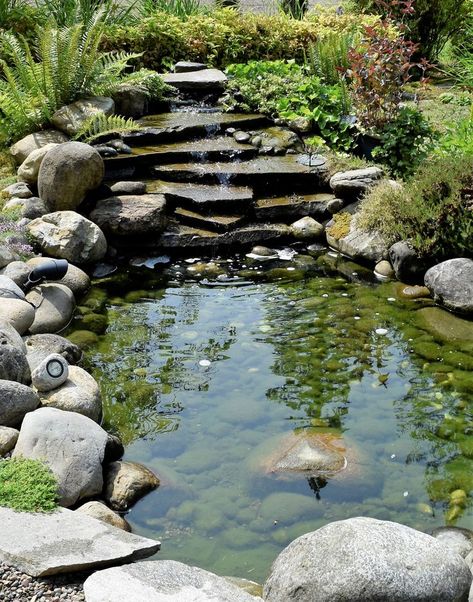 Backyard Pond Waterfall | Garden pond design, Ponds backyard, Waterfalls backyard Garden Pond With Waterfalls, Small Koi Pond With Waterfall, Koi Pond Waterfall Ideas, Outdoor Ponds With Waterfalls, Pond With Waterfall Ideas, Garden Ponds With Waterfalls, Pond Fountain Ideas, Garden Waterfall Ideas, Pond With Waterfall