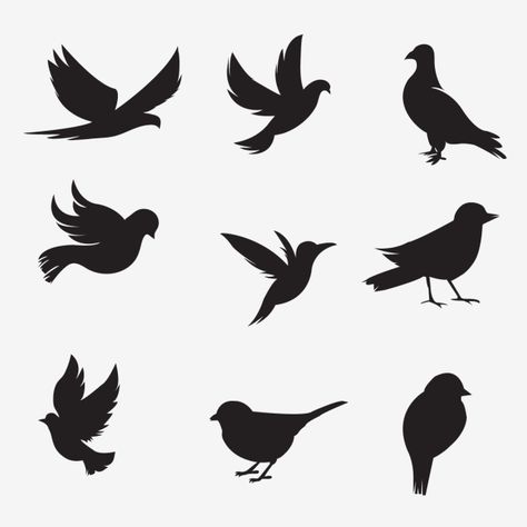 Vogel Silhouette, Bird Silhouette Art, Simple Wall Paintings, Flying Bird Silhouette, Shadow Illustration, Shadow Painting, Silhouette Paper, Silhouette Tattoos, Silhouette Painting
