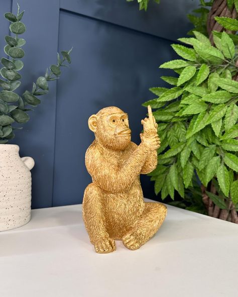 Naughty Monkey ! Shop our ‘Up yours’ monkey now - Cosy-Casa.co.uk #homedecor #homeaccessories #moneky #middlefinger #upyours #gift #novelty #funny #cosycasa Home Décor, Gifts, Funny, Dogs, Instagram, Golden Retriever, Home Accessories, Home Decor