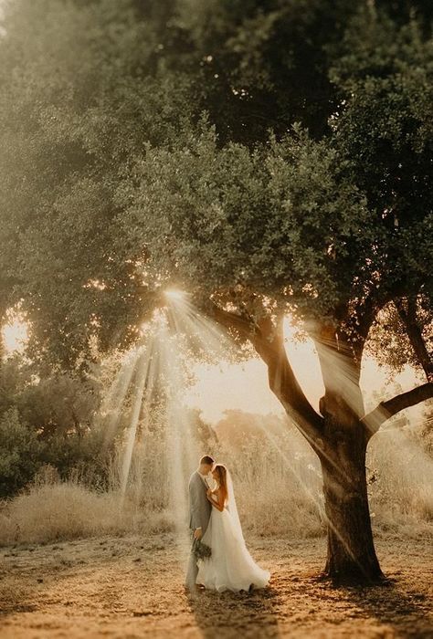 Rustic Wedding Photos Ideas, Wedding Landscape Photography Photo Ideas, Photography Ideas For Weddings, Wedding Foto Ideas Creative, Sweet Wedding Photo Ideas, Woods Elopement Photo Ideas, Outdoor Wedding Pictures Ideas, Wedding Poses For Bride And Groom Funny, Road Wedding Photos