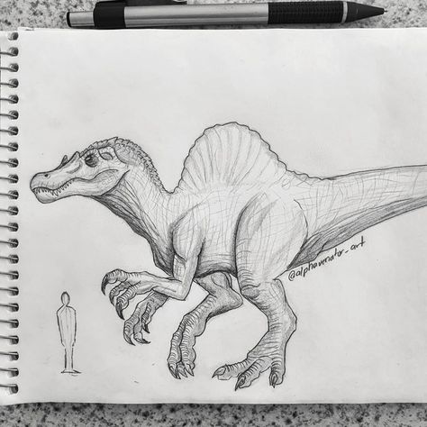 Spinasourous Drawing, Spinosaurus Sketch, Dinos Drawing, Draw Dinosaur Easy, How To Draw Dinosaur, Dinosaur Sketch Easy, Sketches Dinosaur, Jp3 Spinosaurus, Allosaurus Drawing