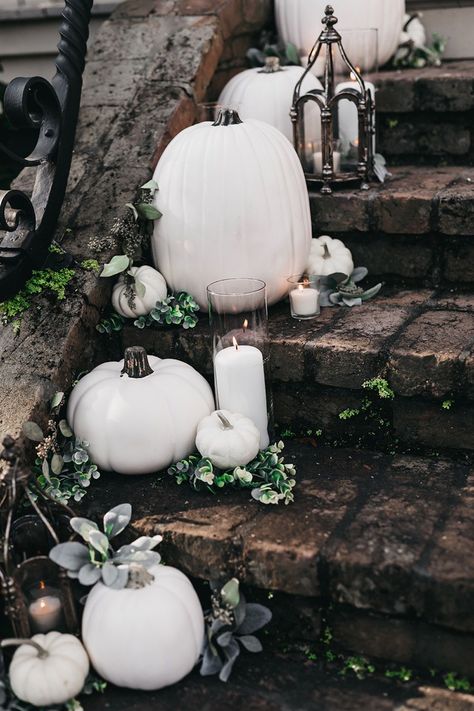 Black And White Fall Wedding Theme, Halloween Wedding Inspiration, Black Pumpkin Wedding Decor, Elegant Fall Party Decor, Halloween Wedding Pumpkins, Wedding With White Pumpkins, Pumkin Decoration Ideas Wedding, White Pumpkin Fall Wedding, Wedding With Pumpkins Decorating Ideas